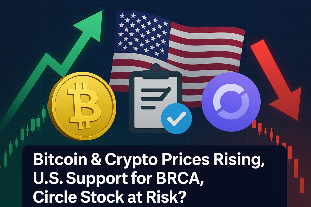 Why Are Bitcoin & Crypto Prices Rising